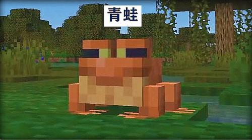 我的世界1.19