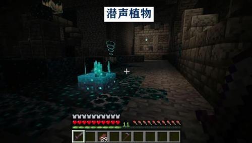 我的世界1.19