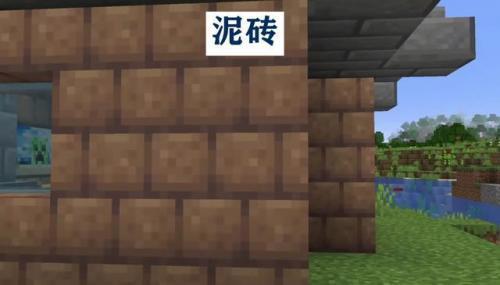 我的世界1.19