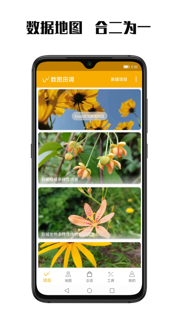 数图截图0